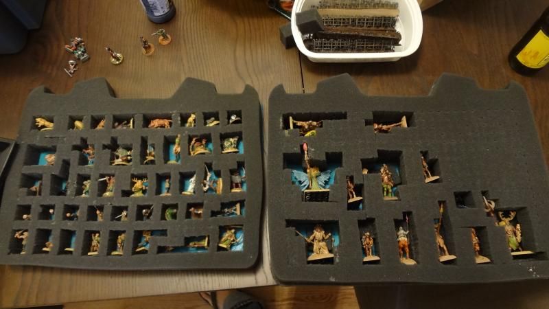 warhammer skirmish case